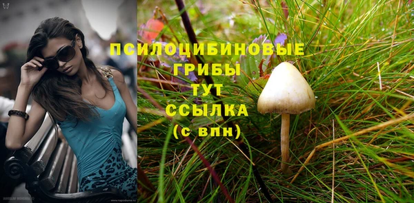мяу мяу кристалл Покачи